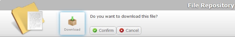Download File Confirmation