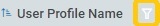 Column Header select user profile_Filter Rules