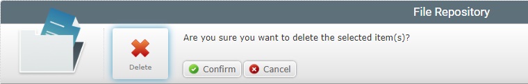 Delete File Confirmation